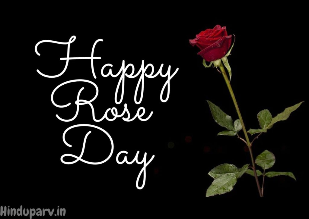 happy-rose-day-2021-wishes-quotes-and-message-for-bf-gf-in-hindi